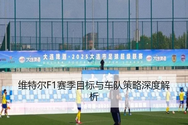 维特尔F1赛季目标与车队策略深度解析